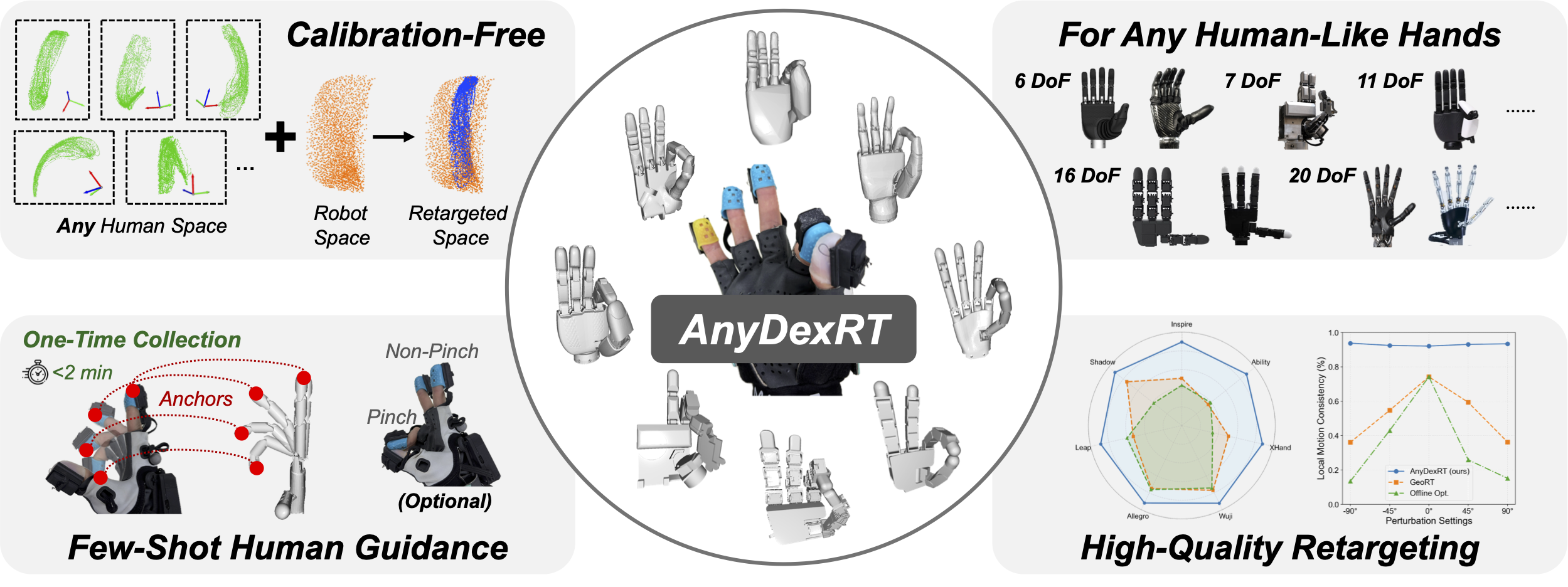 Overview of AnyDexRT